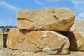 200342975838158869