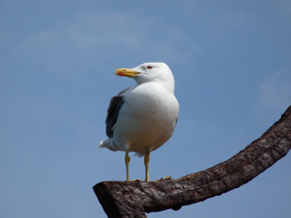 199319201663680517