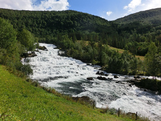 200291736878317589
