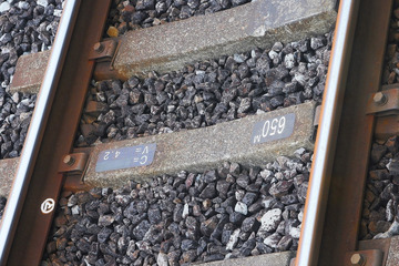 197955394928377879