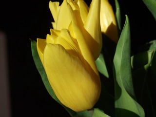 201985637620121632