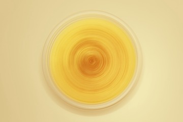 200345320890302491