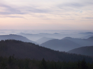 200266396571271182