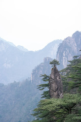 https://cdn6-banquan.ituchong.com/weili/l/197762525126983702.jpg