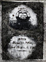 198337947665432708