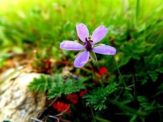 200904207804661774