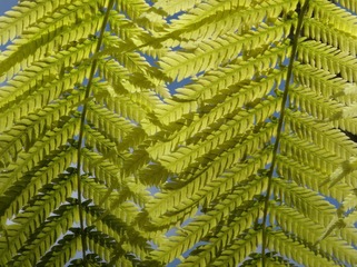 200085569858174979