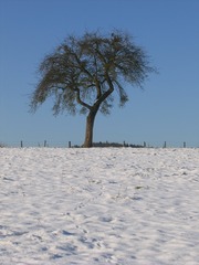 200898469728354319
