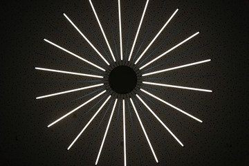 200263896900304902