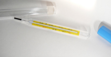 200644250614104065