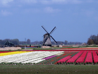 189529717065646388