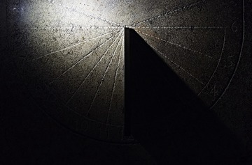 200638907674787859
