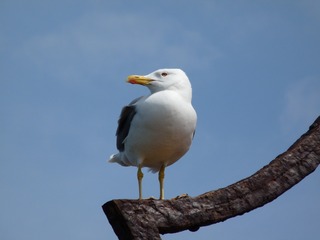 199319201663680517