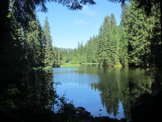 200607365434966024