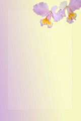 189463480080007327