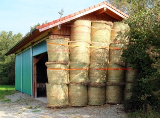 200267762370871311