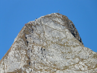200725631654428689