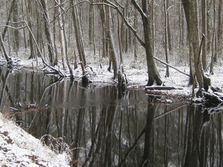 200612665424609290