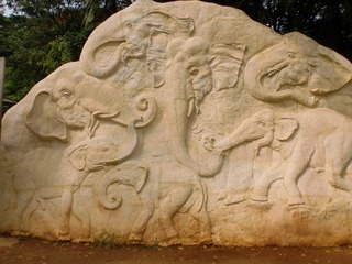 189500786165940684