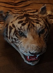 185736685417664509