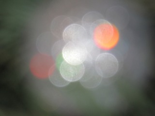 197629690378453026