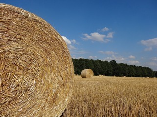 200876591164948536