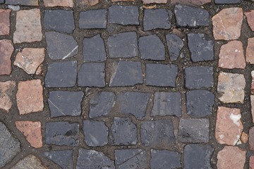 189485710830731893
