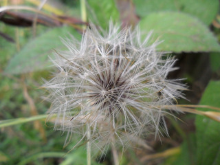 200907360310657078