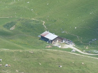 200406378145382405