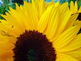 200893650775048198