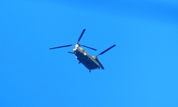 200061286113083397
