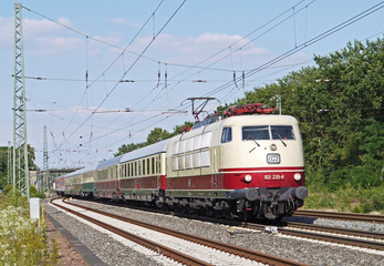 200355027516391484