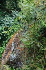 DSC_5324.jpg