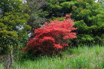 DSC_5366.jpg