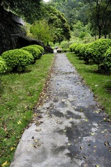 _DSC9457.jpg