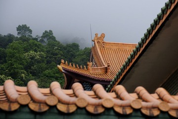 _DSC9437.jpg
