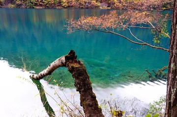 DSC_7344镜海.jpg