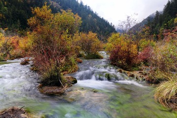 DSC_7408珍珠滩.jpg