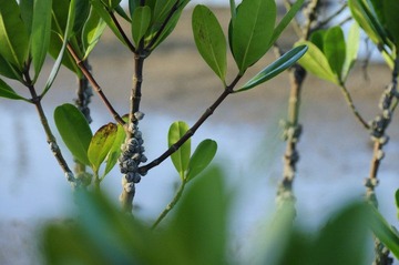 DS_DSC0623_.JPG
