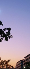 70879CD8-E124-42B0-A0FE-856C44CB6BB0/L0/001