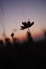 1303133B-C850-4D8D-9F68-2B2A74401489/L0/001