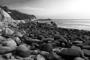 IMG_8497 