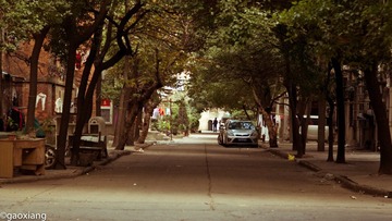 WGX_2560.jpg