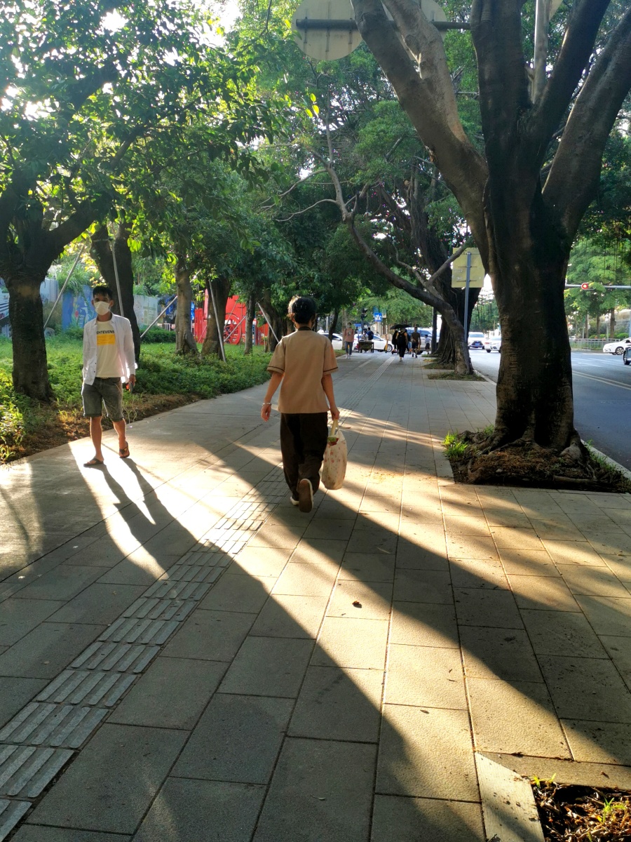 深圳宝安公园路,道路,清晨,大树,运动,小道,绿道,阳光,树林,行人.