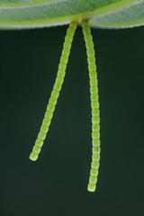 810665