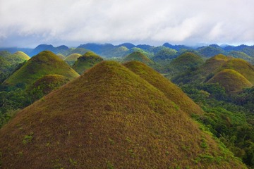 IMG_8801.jpg