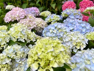 80061A5B-C27F-405D-BBE8-A730A2F17F0E/L0/001