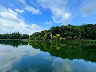 7BC509C2-CDE9-4D11-9ACE-EE7D679F8F35/L0/001