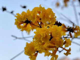 8F251651-28D0-4ED2-95A7-E27037AC9235/L0/001