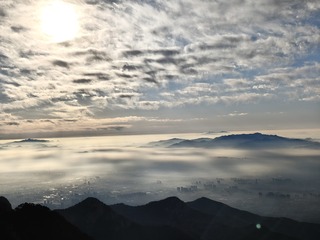 1000002312